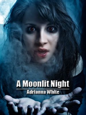 [A Moonlit Night 02] • A Moonlit Night